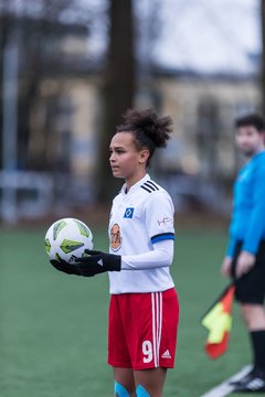 Bild 48 - wBJ HSV - F VfL Jesteburg : Ergebnis: 6:1